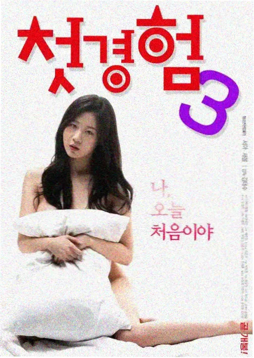 美女的诞生剧集正片档案封面
